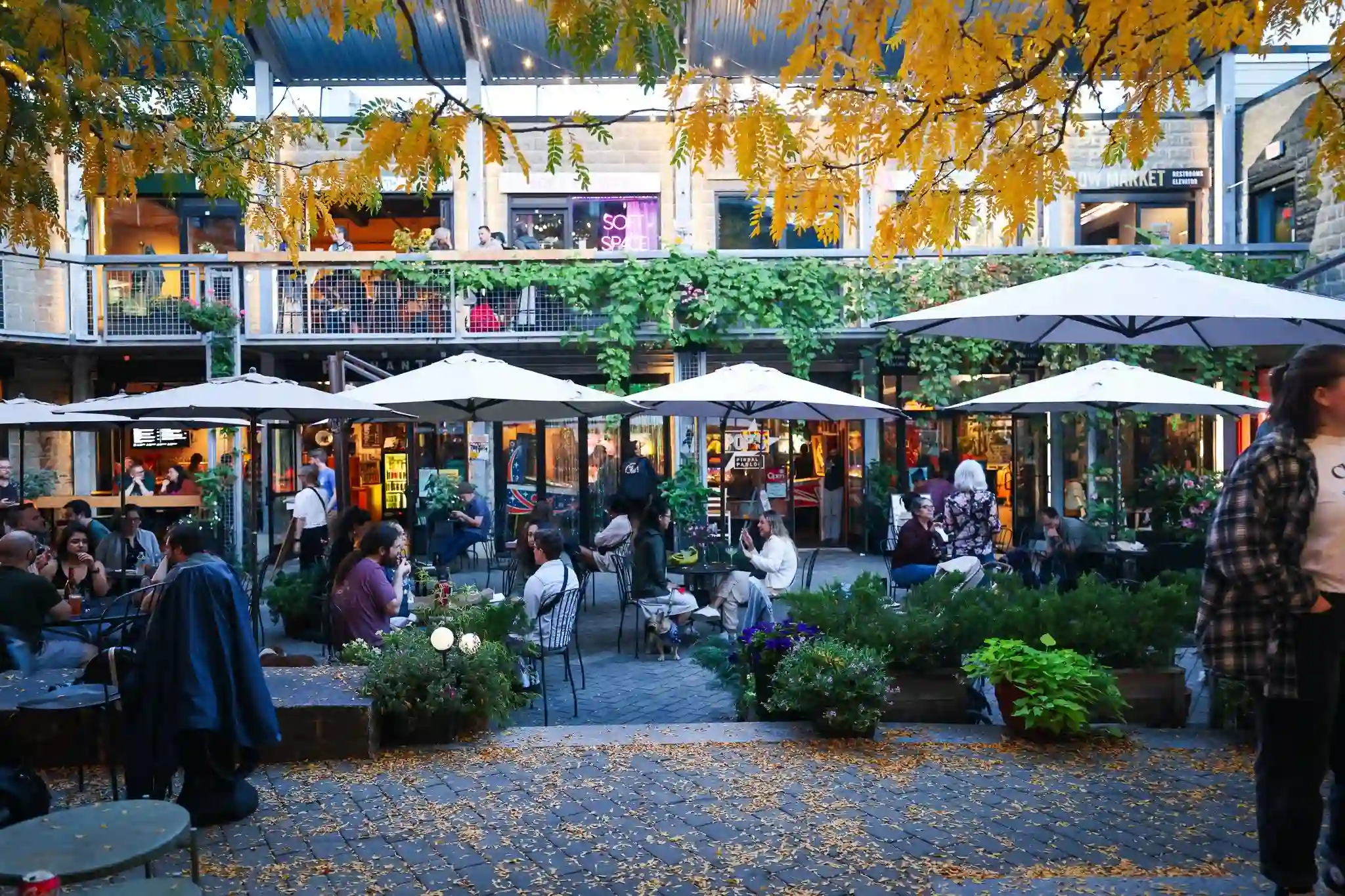 Festival Stage Background